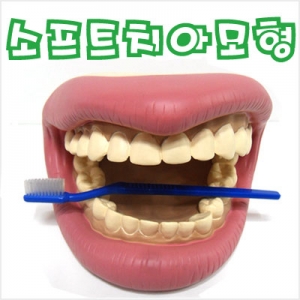 소프트 치아모형